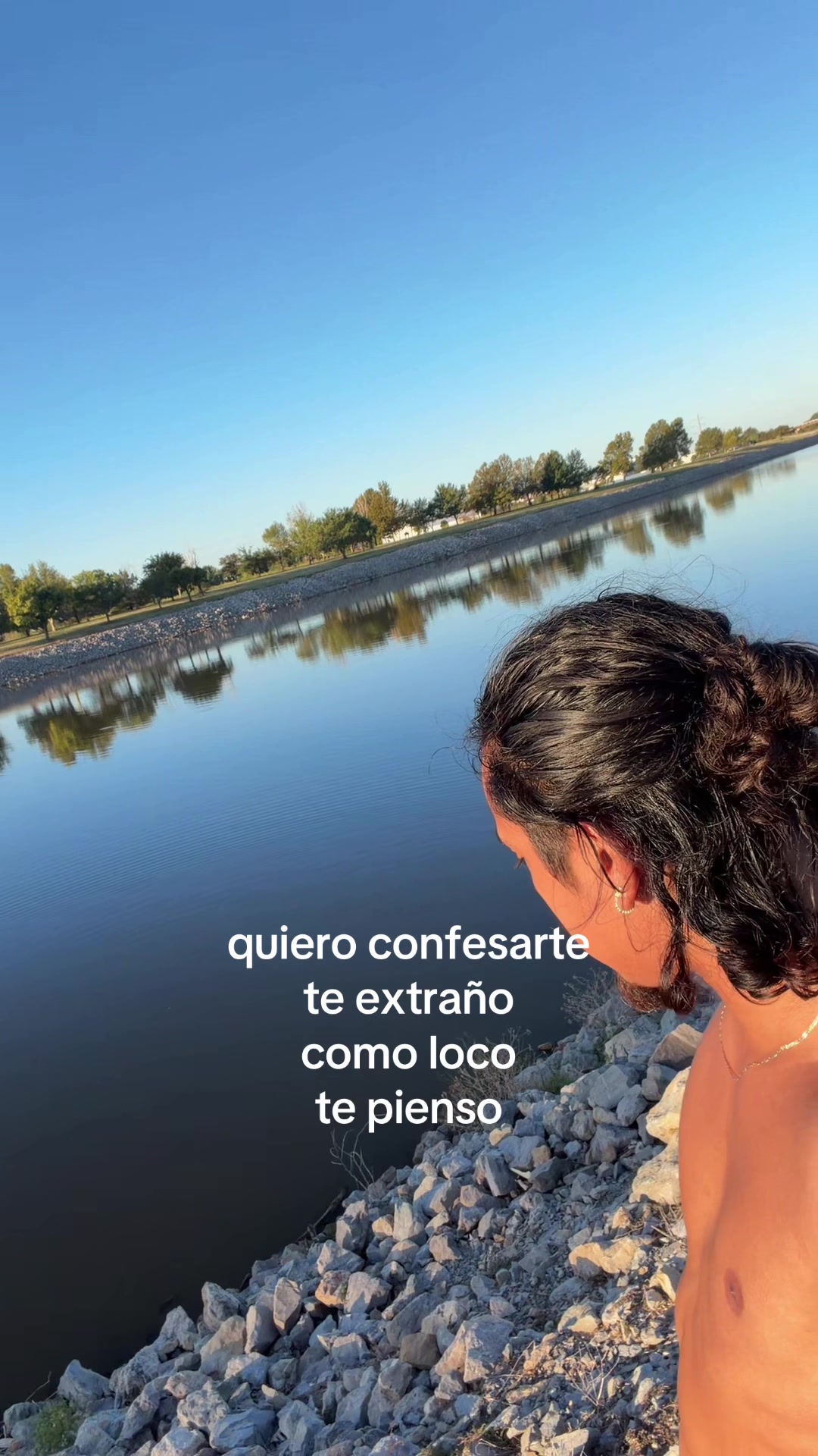 @evert silva