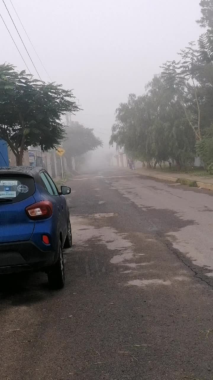 @Iris Flores 24
