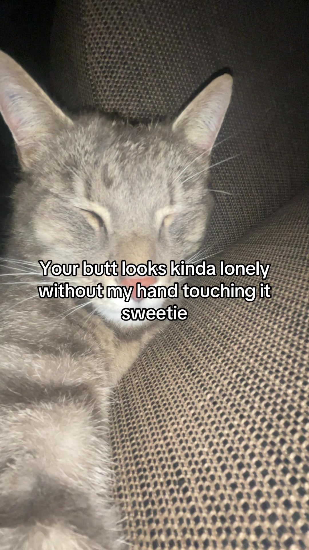 @Micky