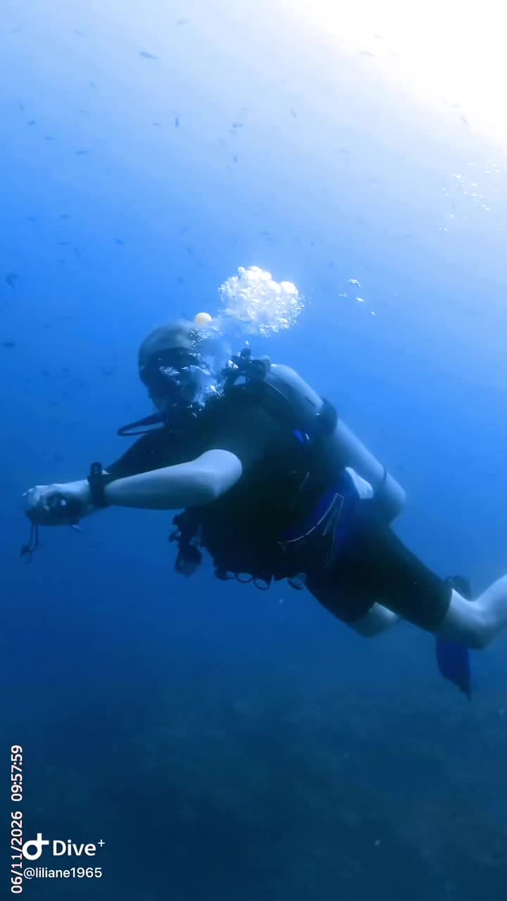@Divestories Curacao    +Follow