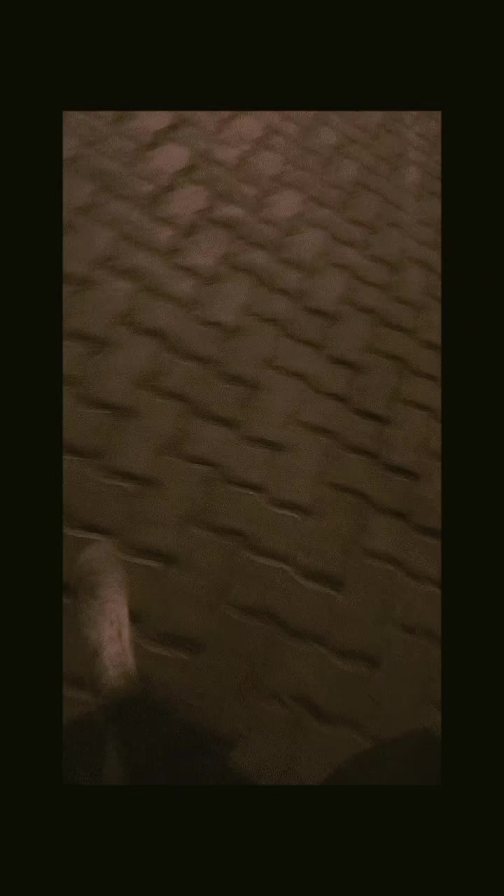 @🐼💗¡..ꪖꪹꪖᨶꫀꪶꪗ..!💗🐼