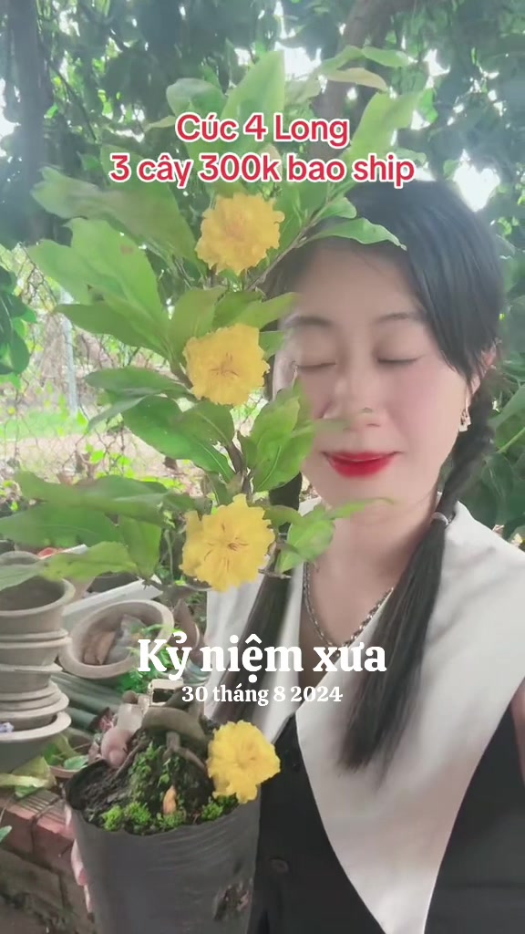 @Chichchoebong79