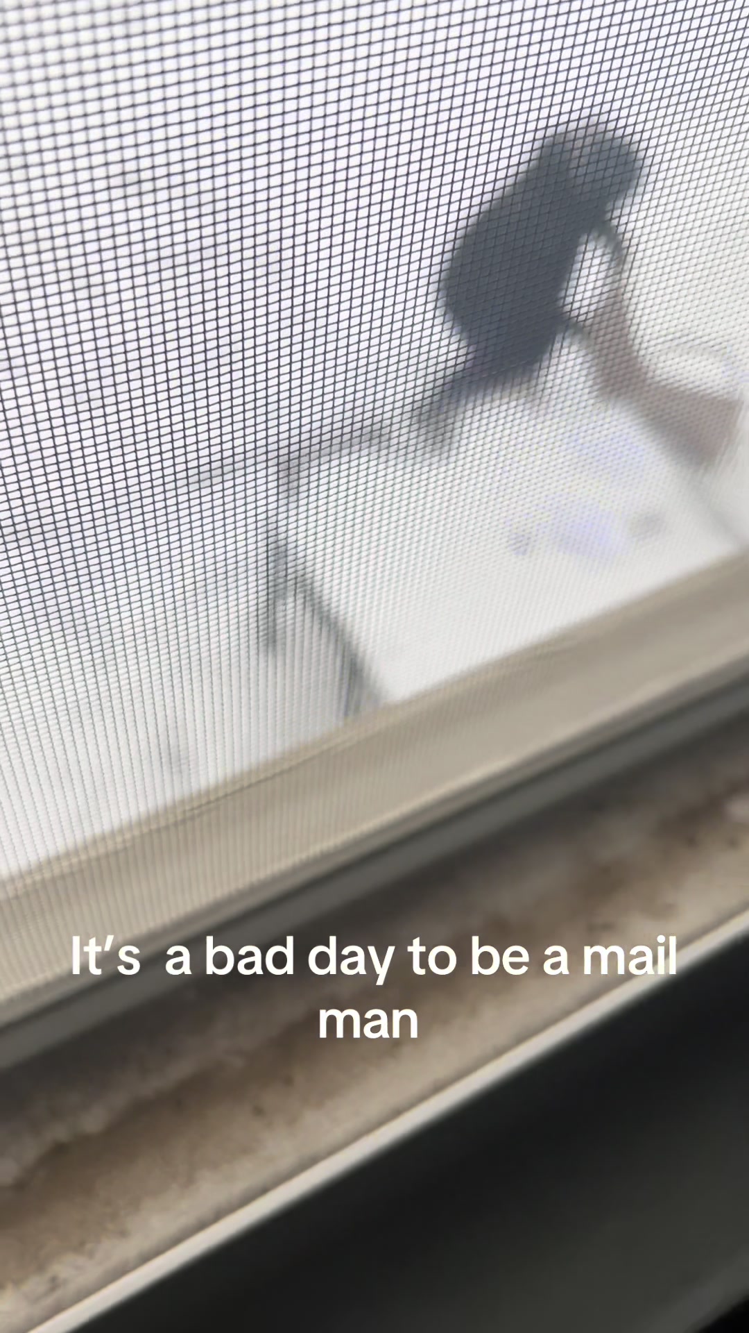 @Mr Jay661