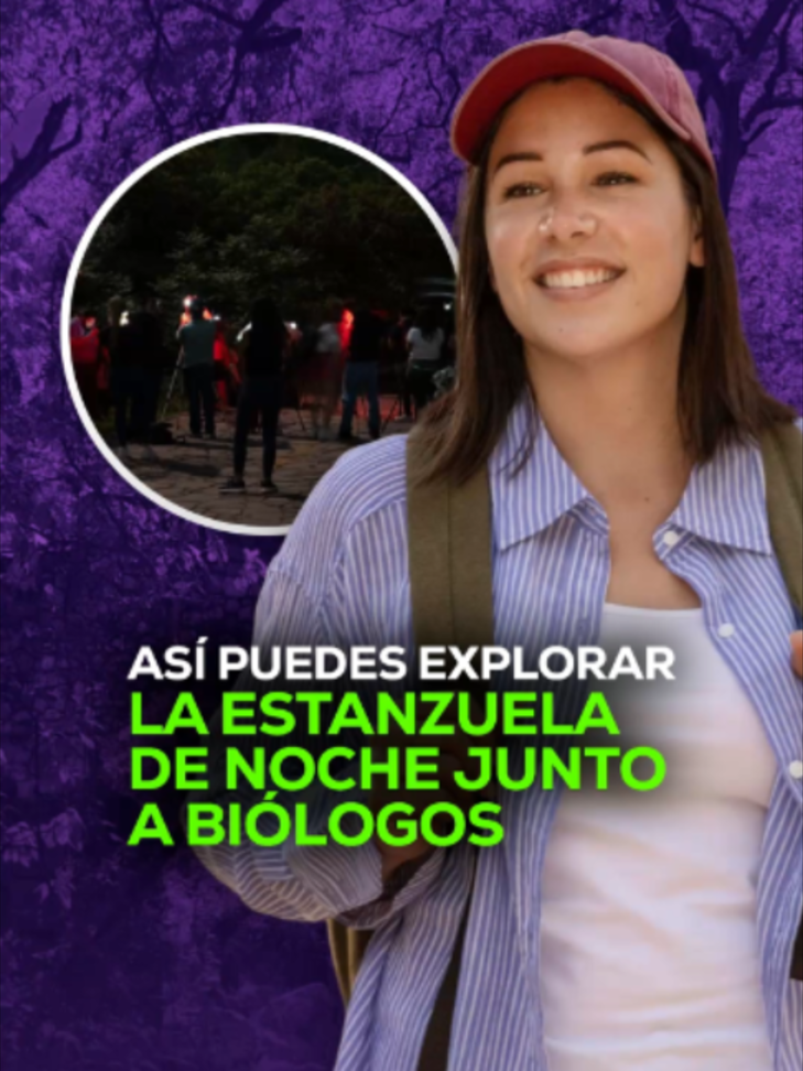 @MVS Noticias Monterrey