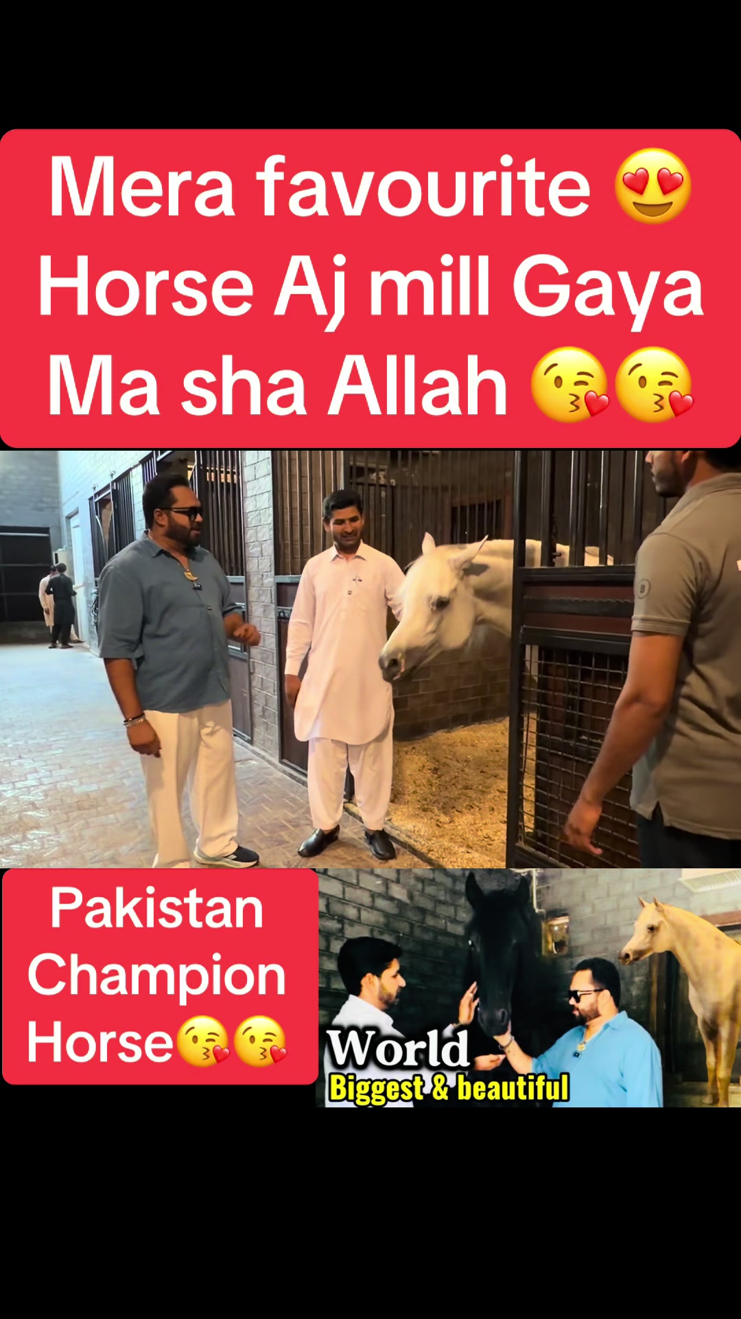 @Mian saqib