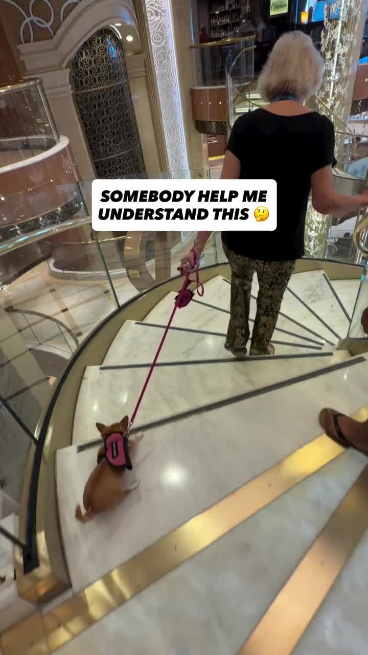@Adventures In Retirement