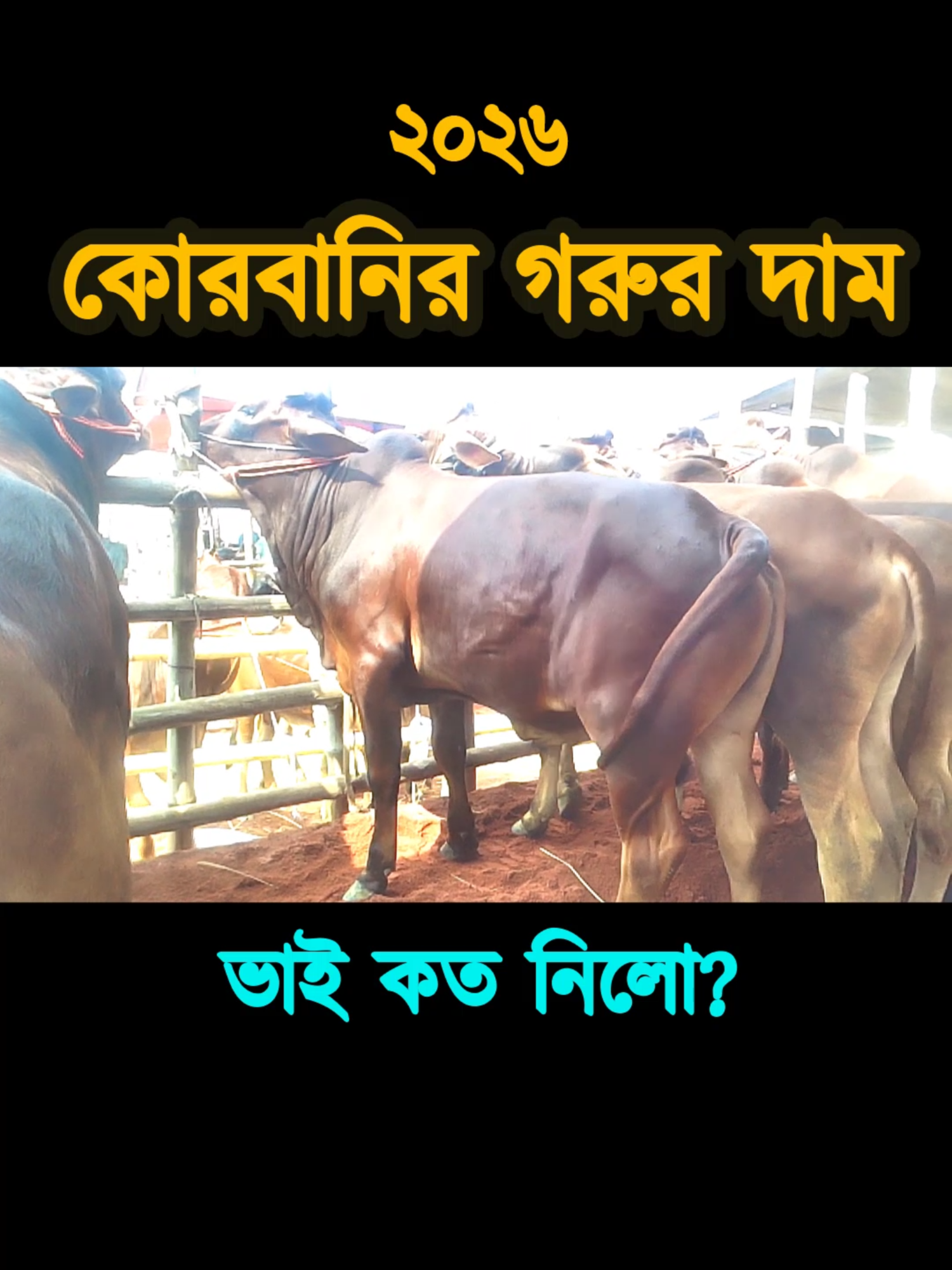 @Nayeem Islam