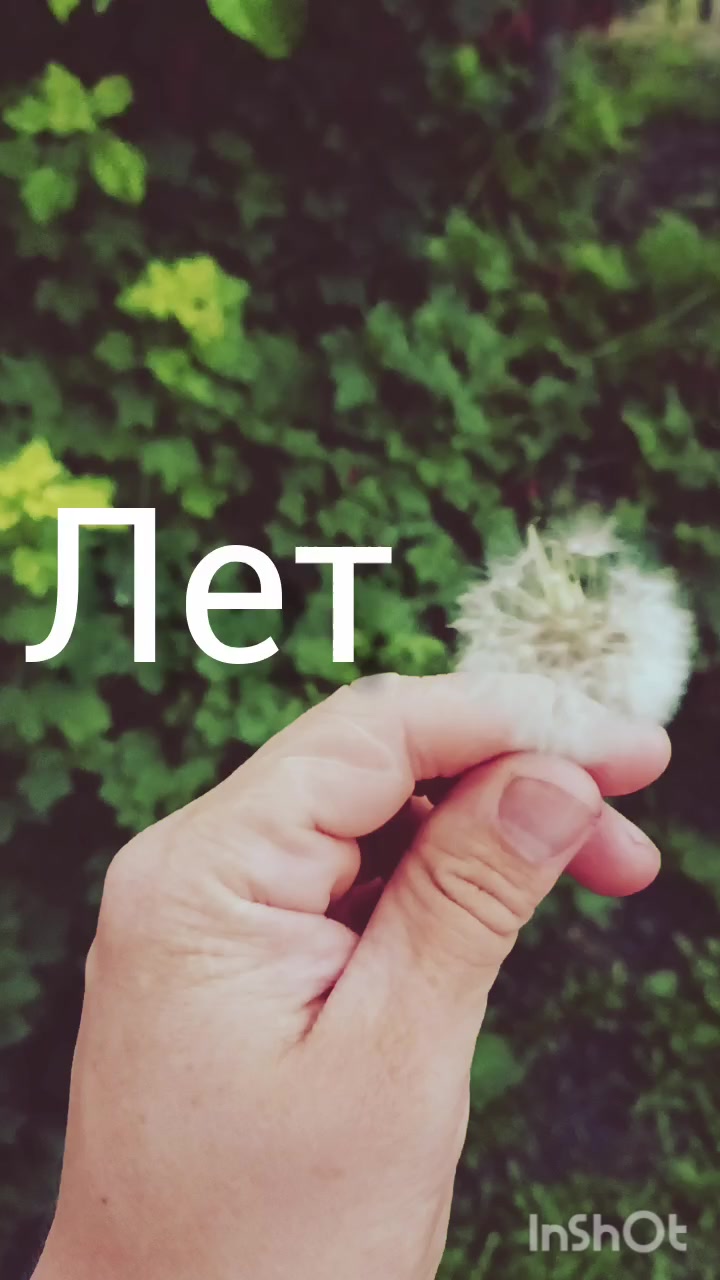 @Ромик Цветовод