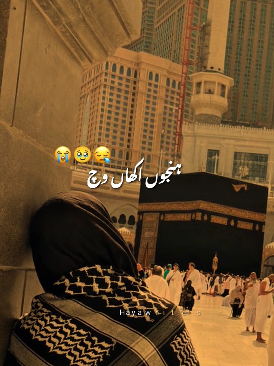 @Haya