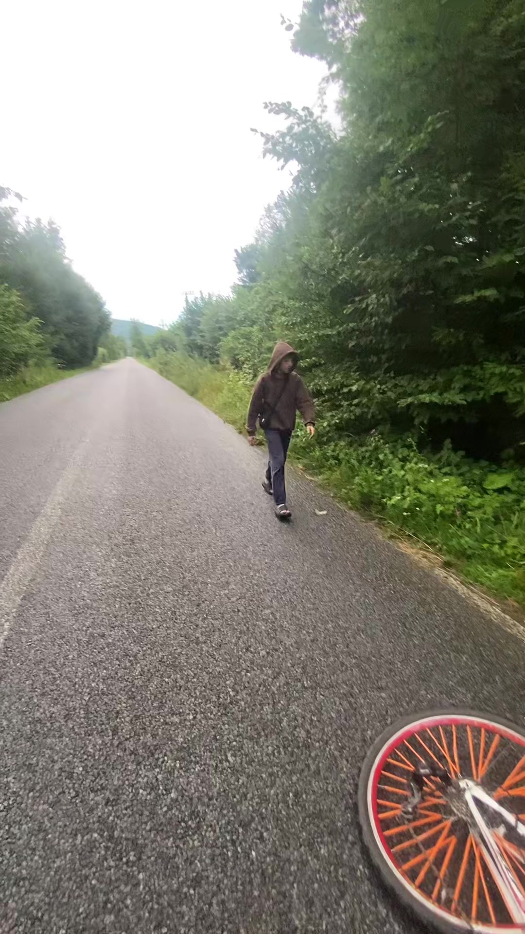 @PROVITALIK