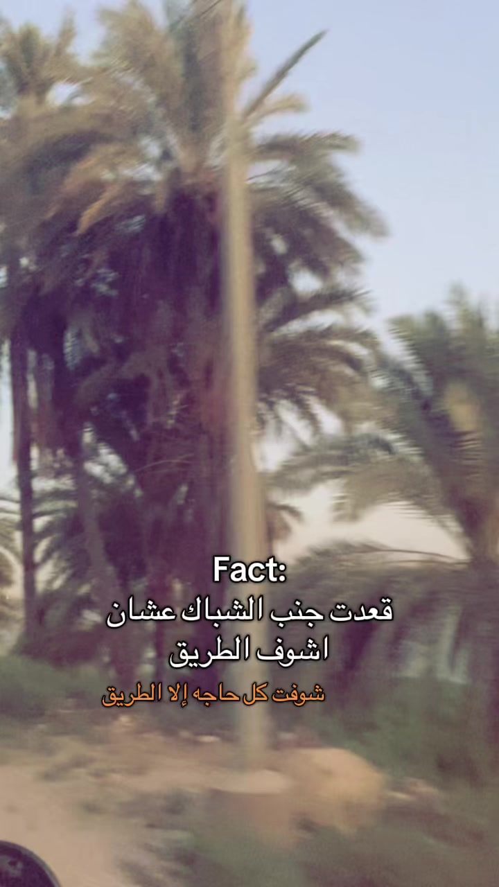 @Al Nest