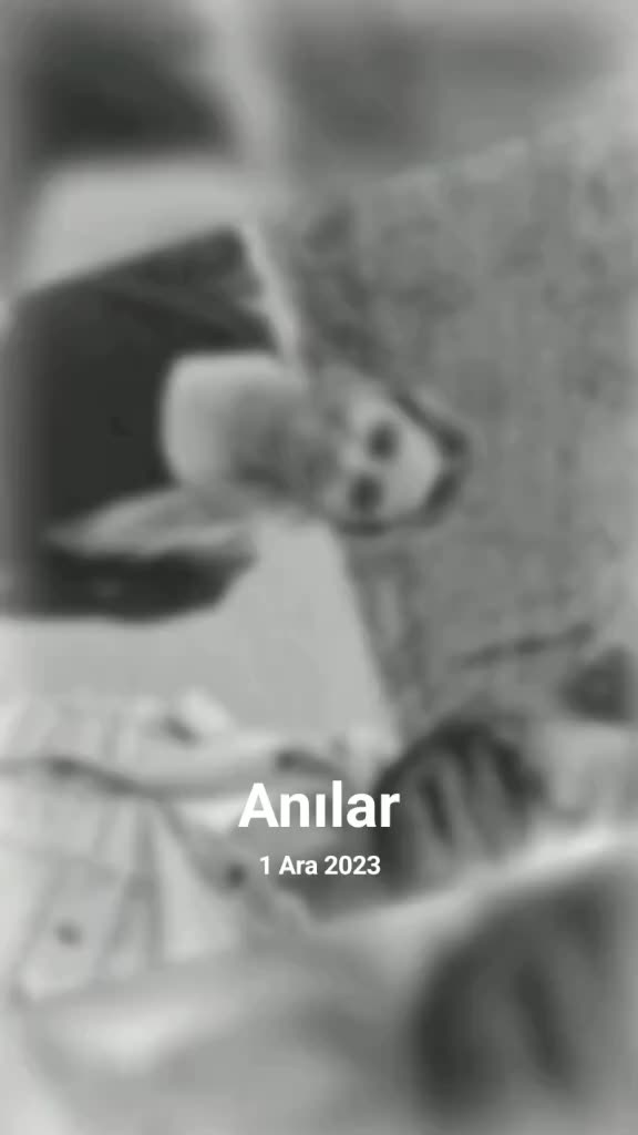 @&hearts;️ Song&uuml;l& Engin &hearts;️