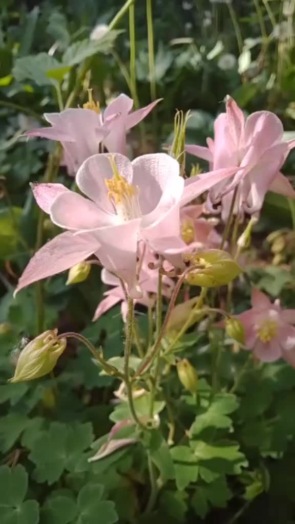 @Jaskółeczka 💫💫💫💫