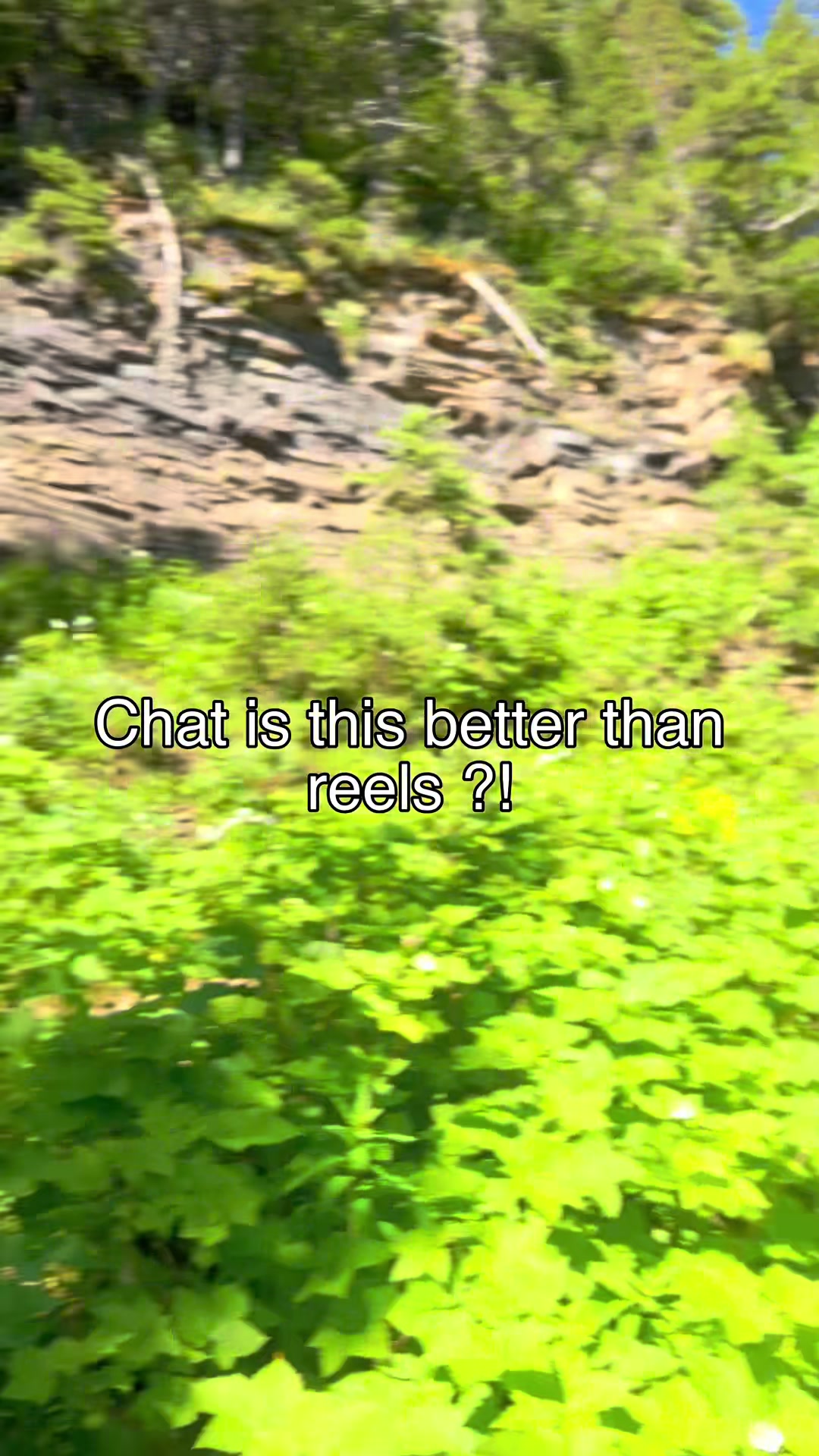 @costafarquhar