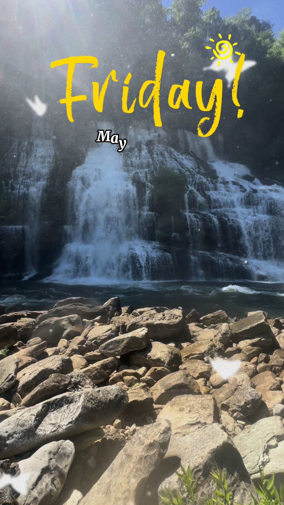 @TennesseeTedMiniFarm