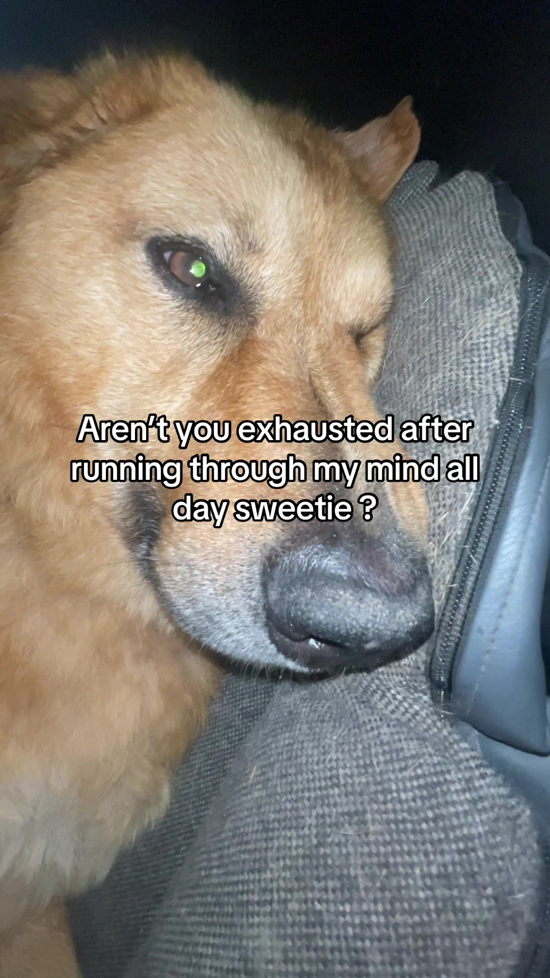 @Neo