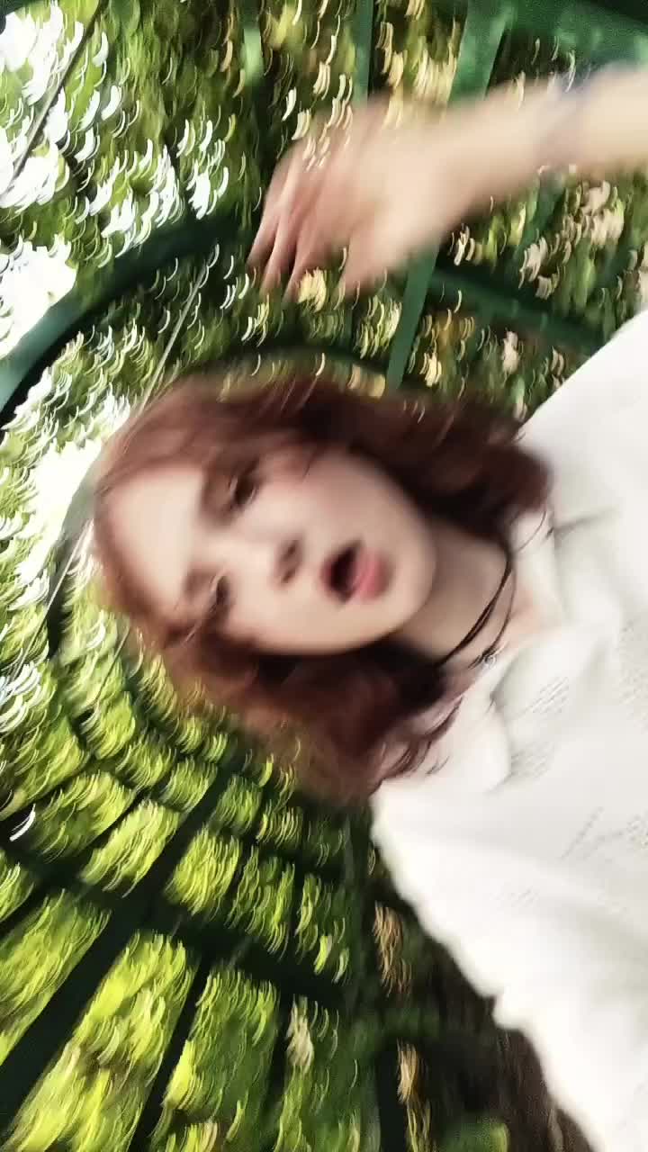@大火木