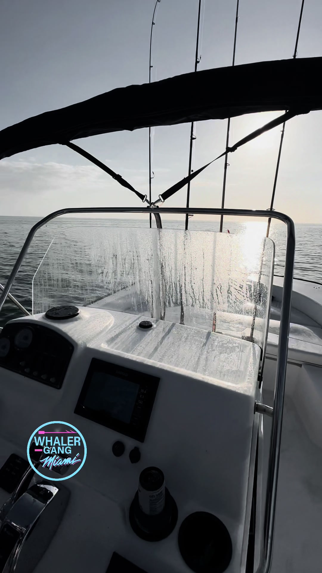 @WhalerGangMiami