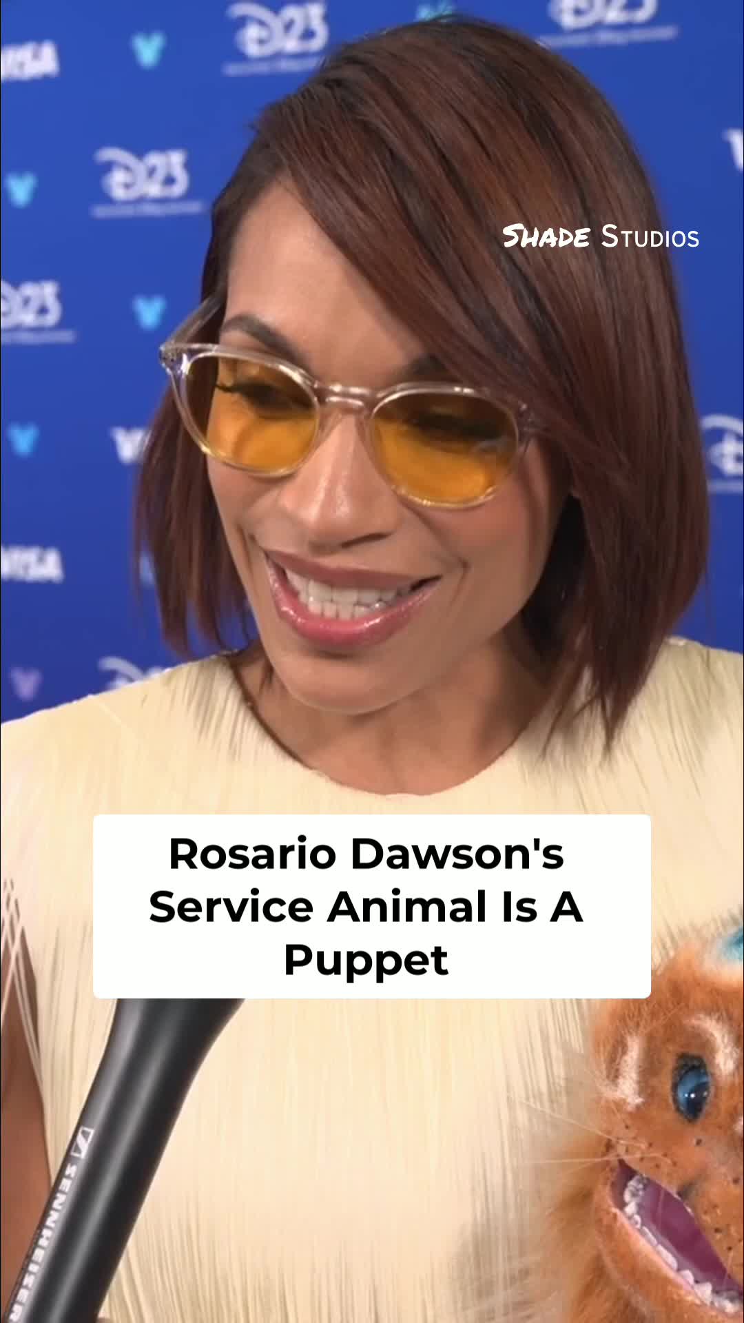@Marissa Hill - ShadeTV