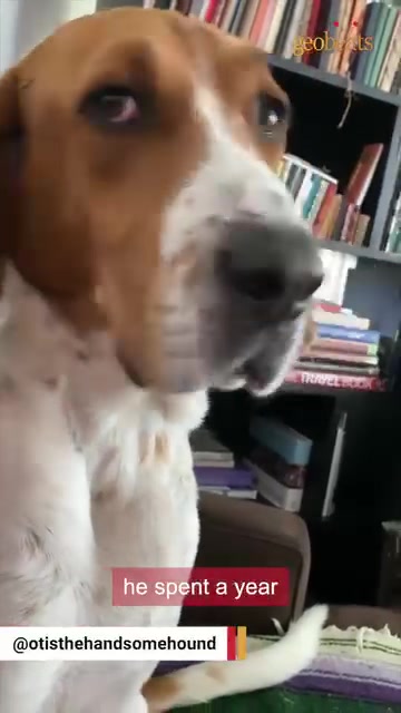 @Otis