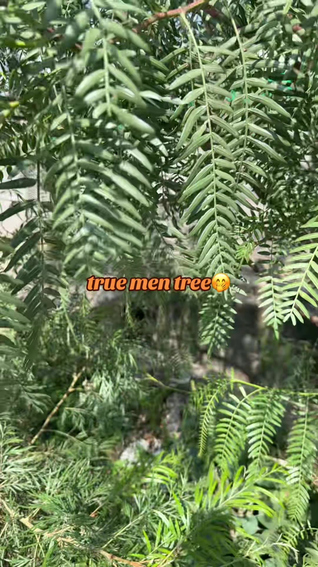 @እግዚሐብሔር የእደገና አምላክ ነው