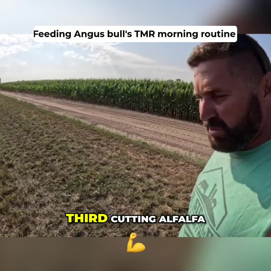 @Kip Siegler Farming