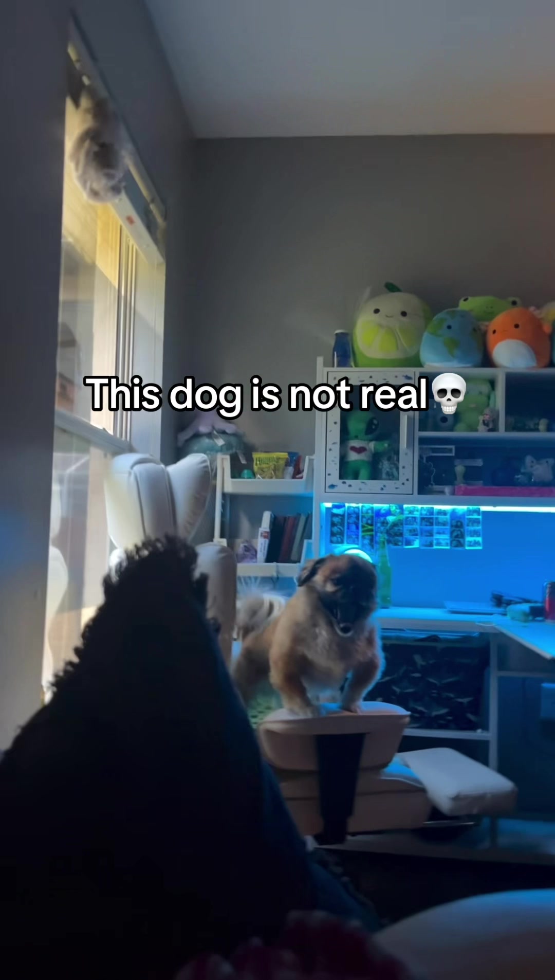 @⭑ Lo👁️Lo⭑