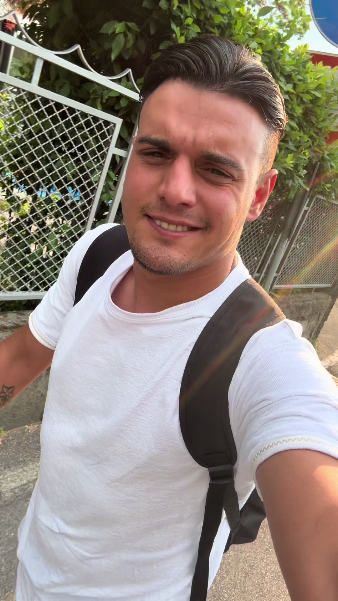 @DonatoBulldogFranceseCuccioli