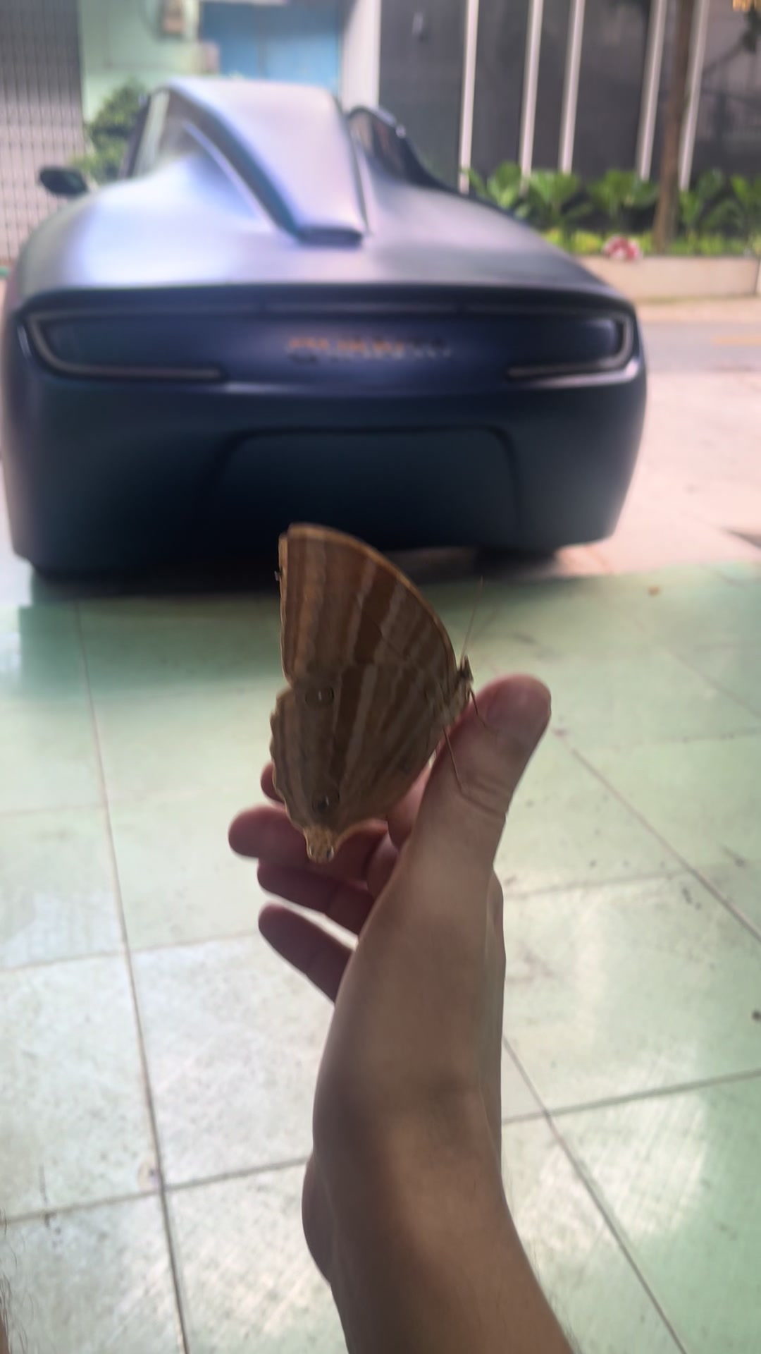 @quantaev
