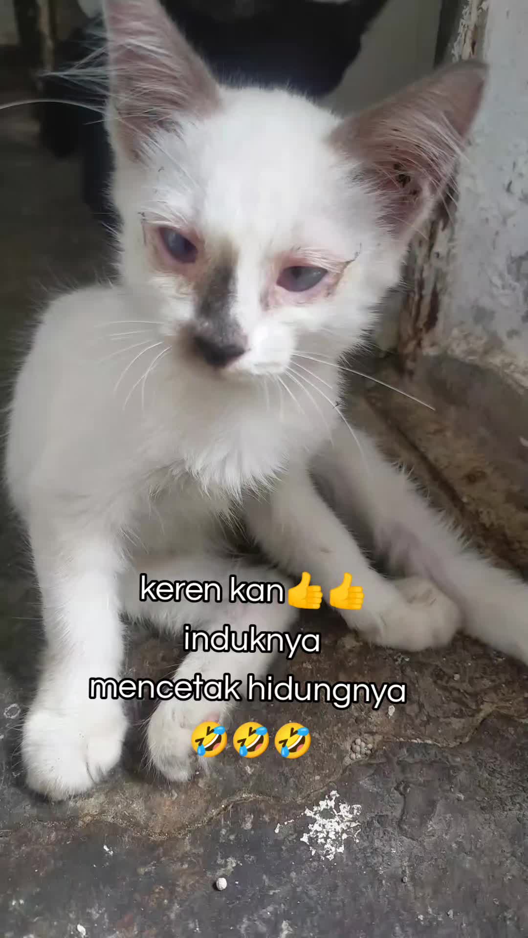 @Nurfazilah
