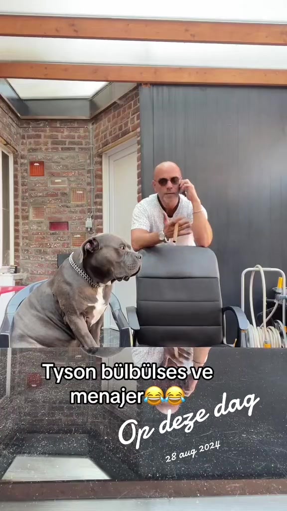 @Tyson&Memoly