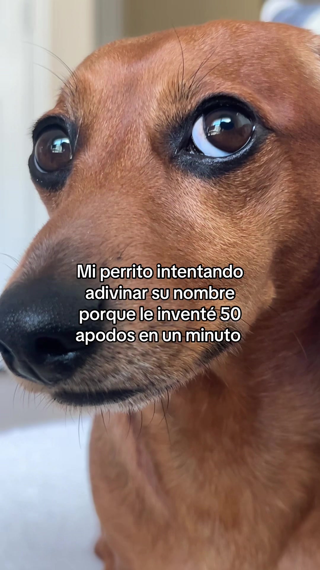 @Slinky Severus-Doo