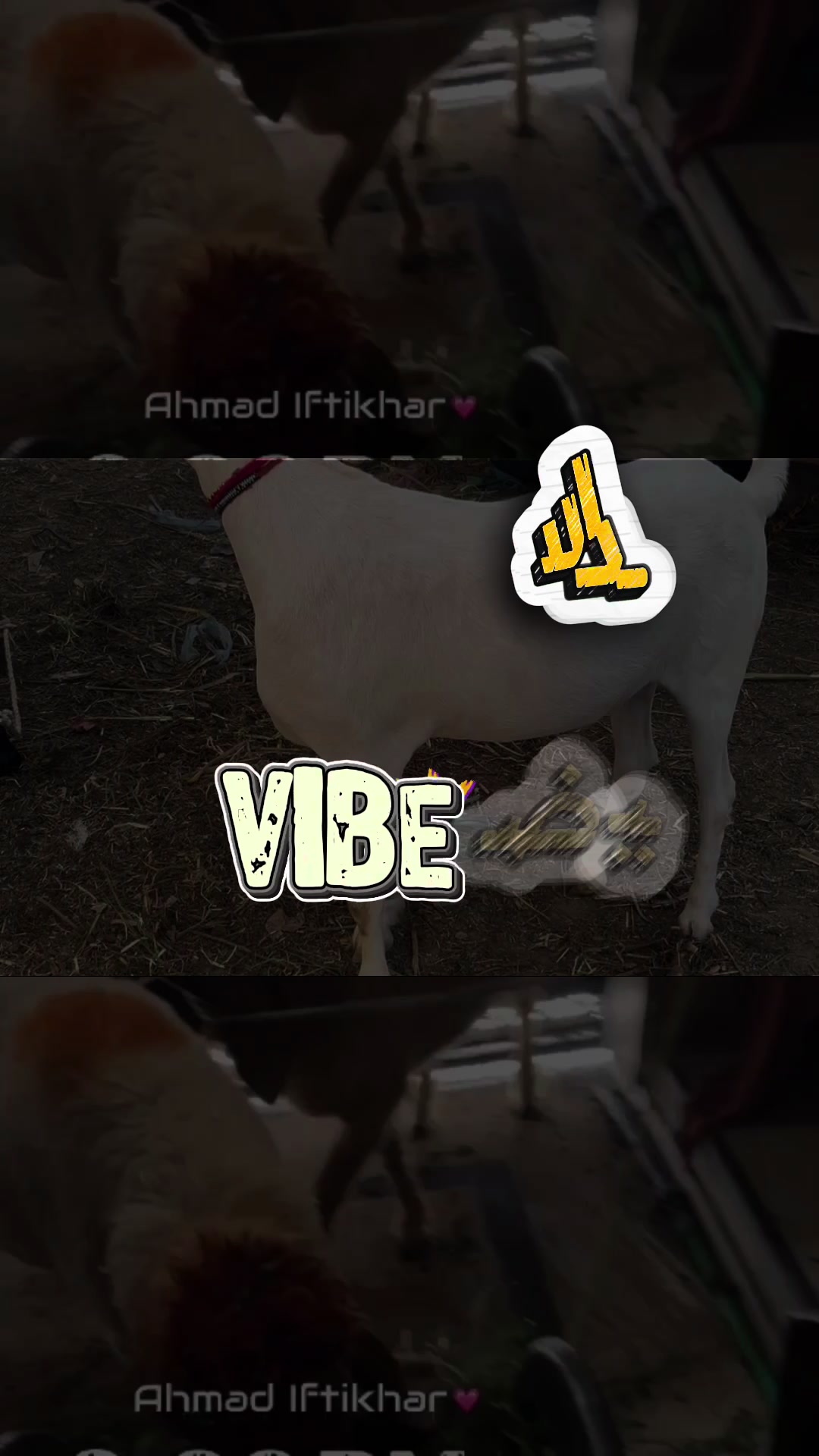 @Maher Ahmad Prince