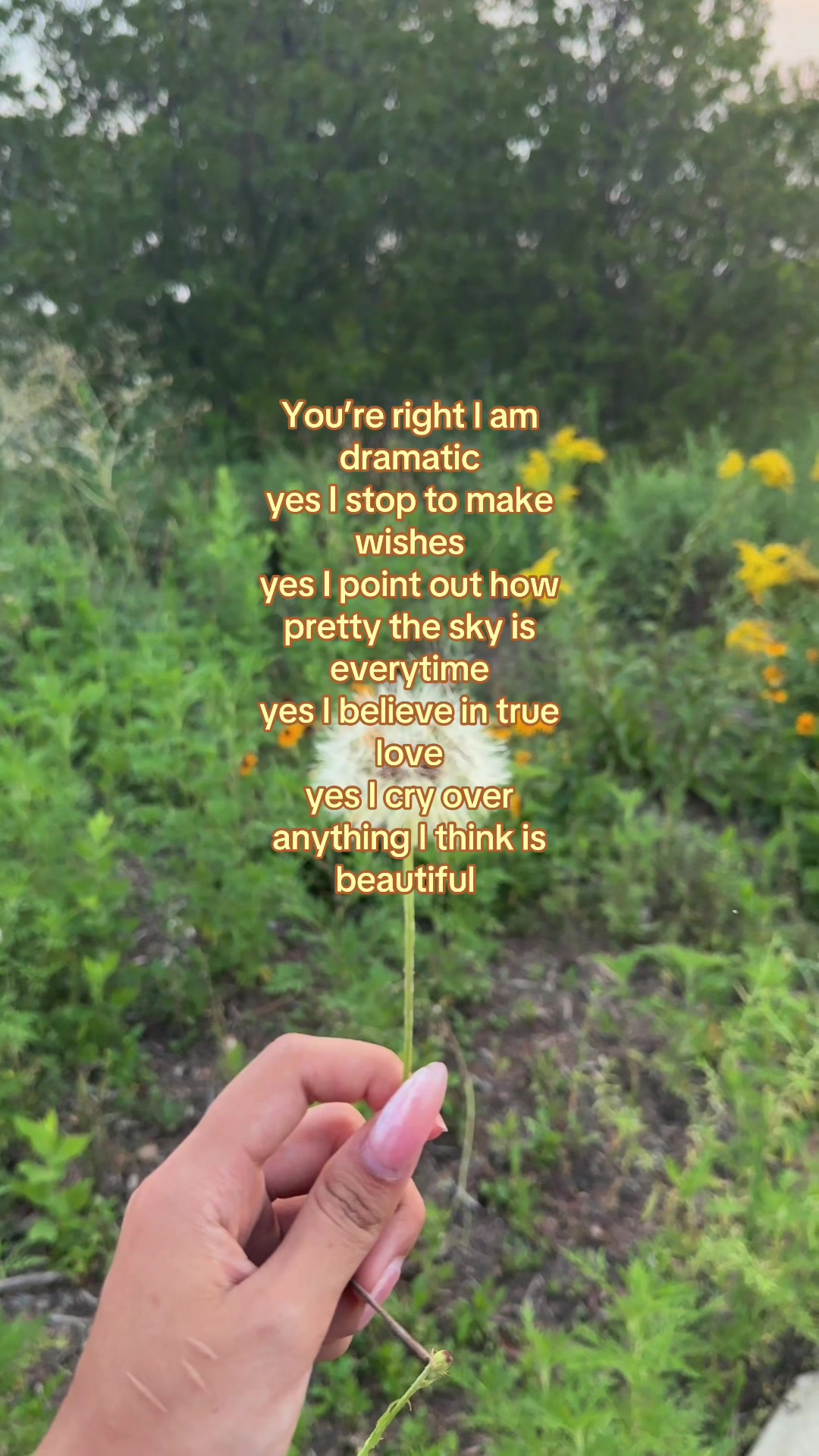 @kim kim