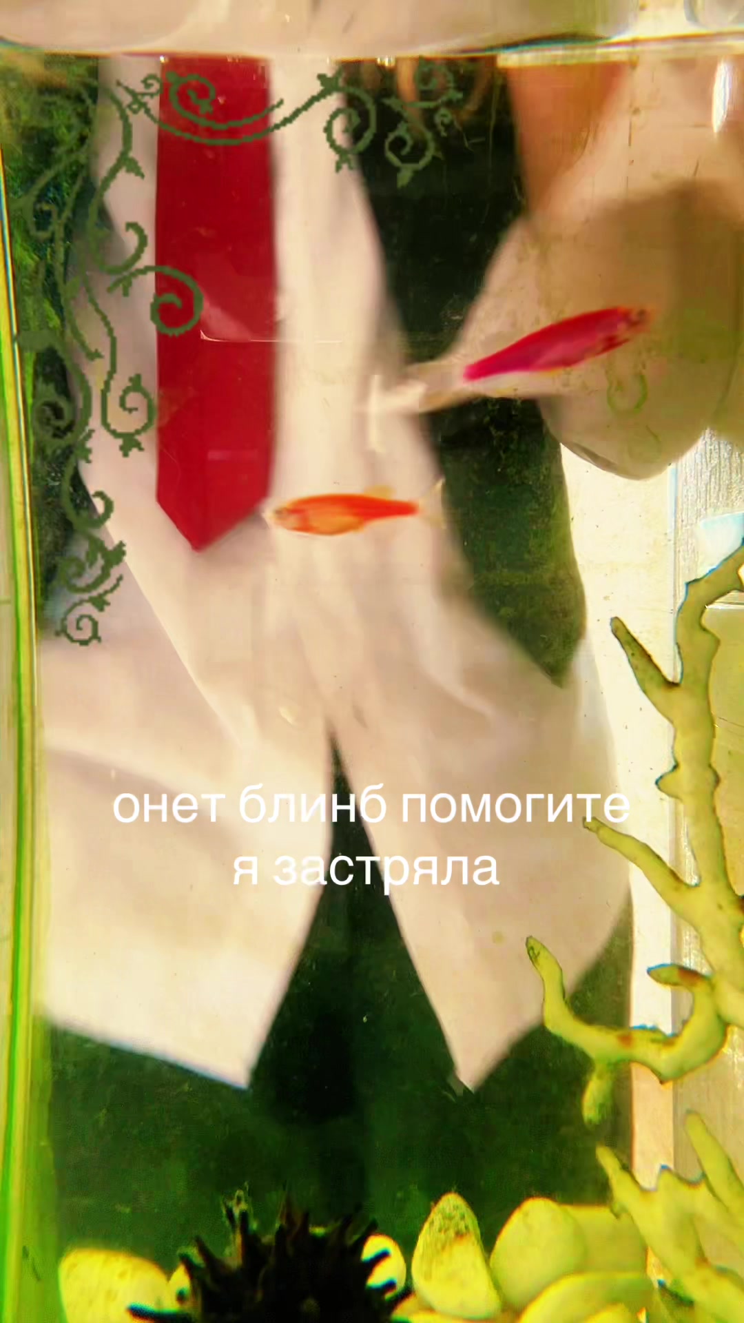 @маряша