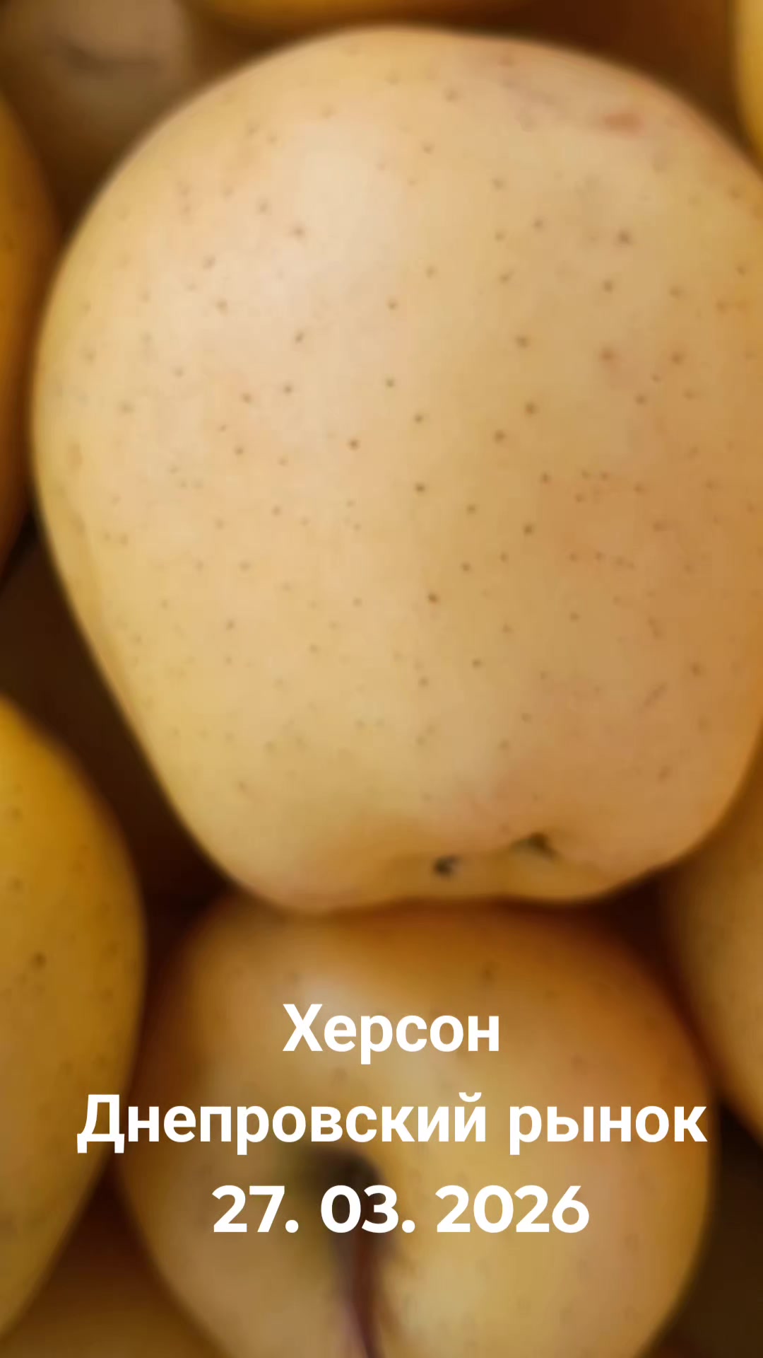 @IOSIF99999
