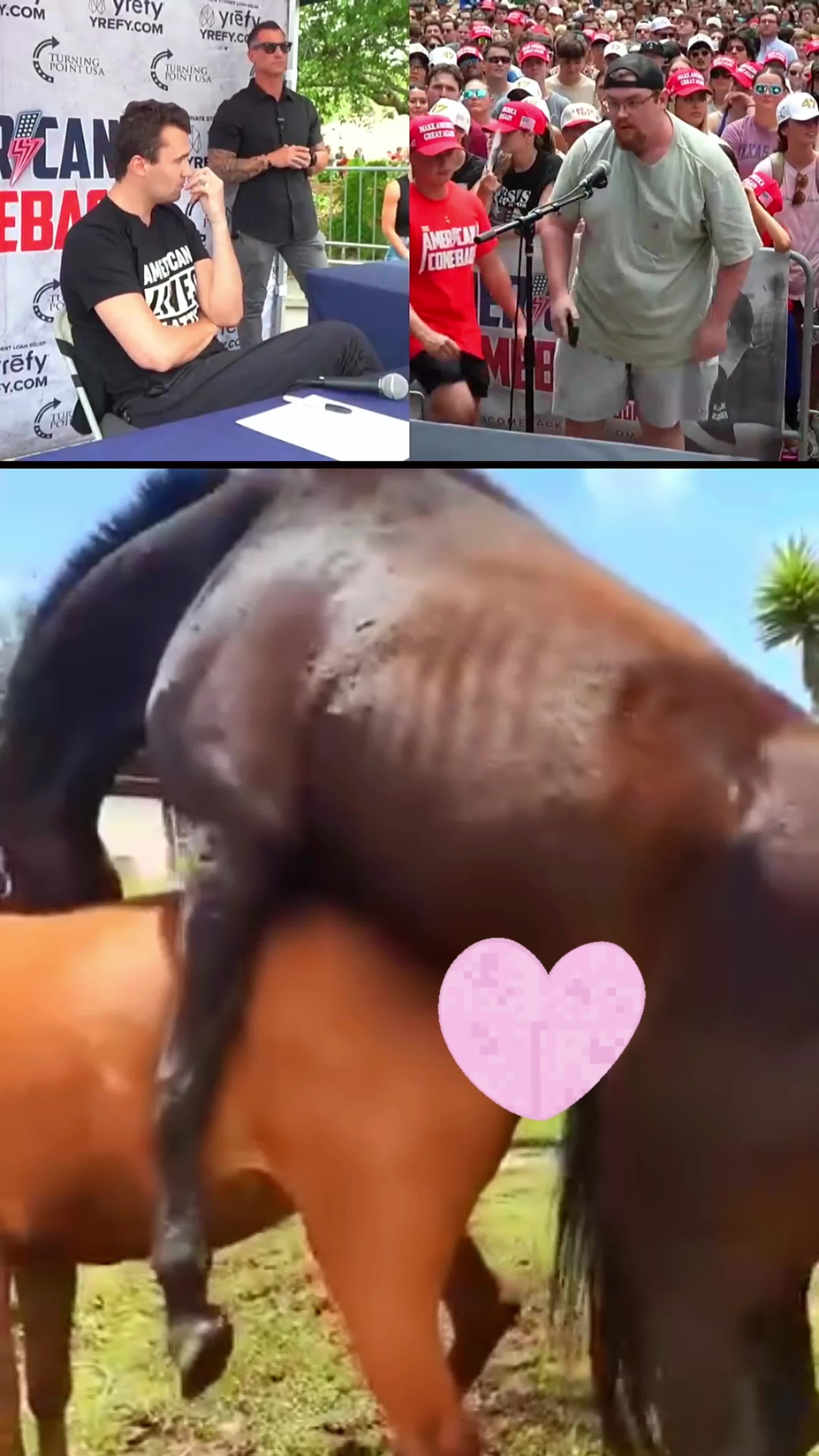 @horselife015