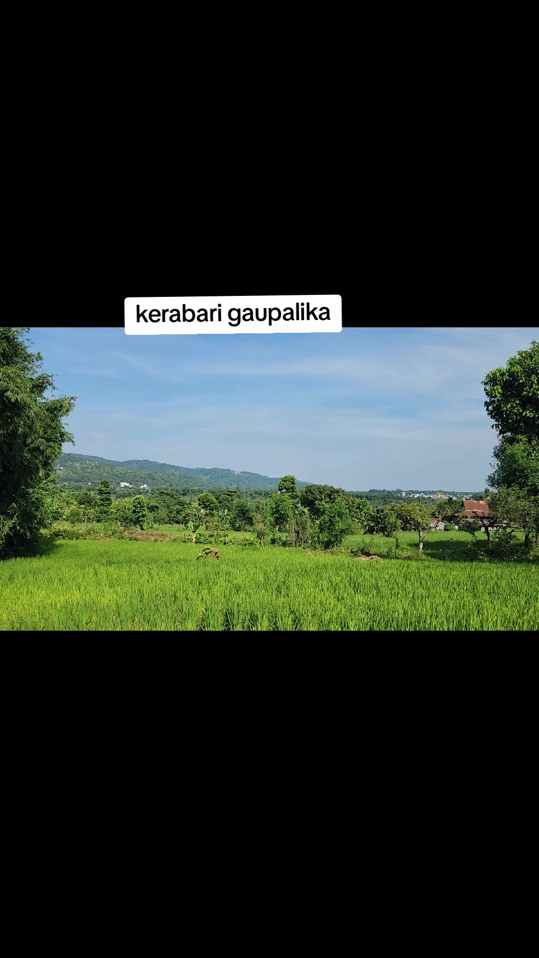 @Pujalimburai 🫶🏻