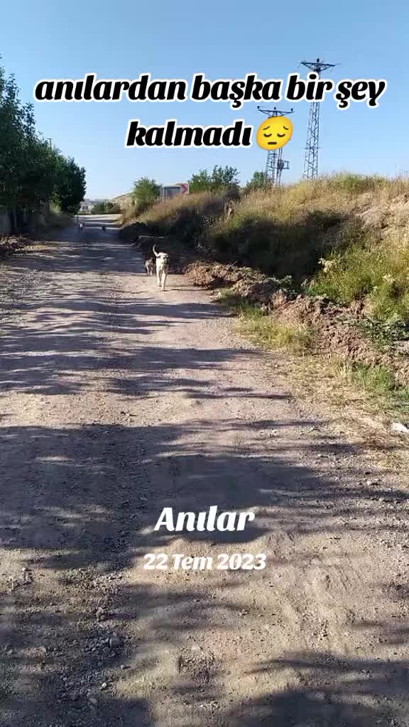@UMUT BEKLEYEN PATİLER, 🐶💕🐱?
