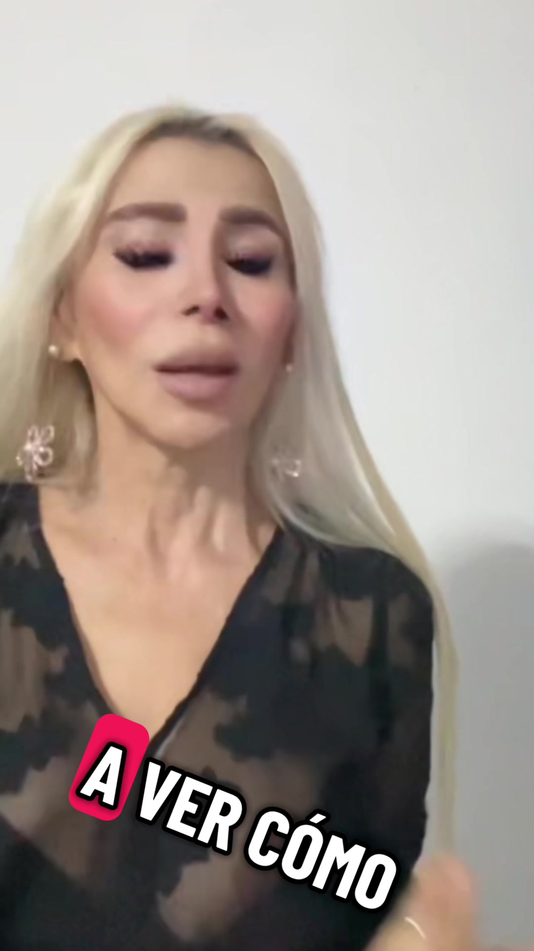 @Carolina Rodrigues