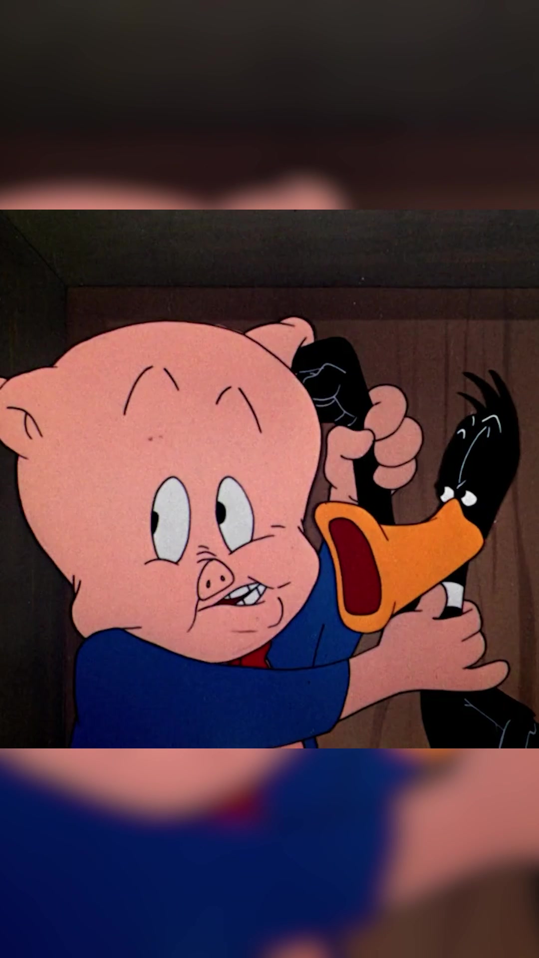 @Looney Tunes