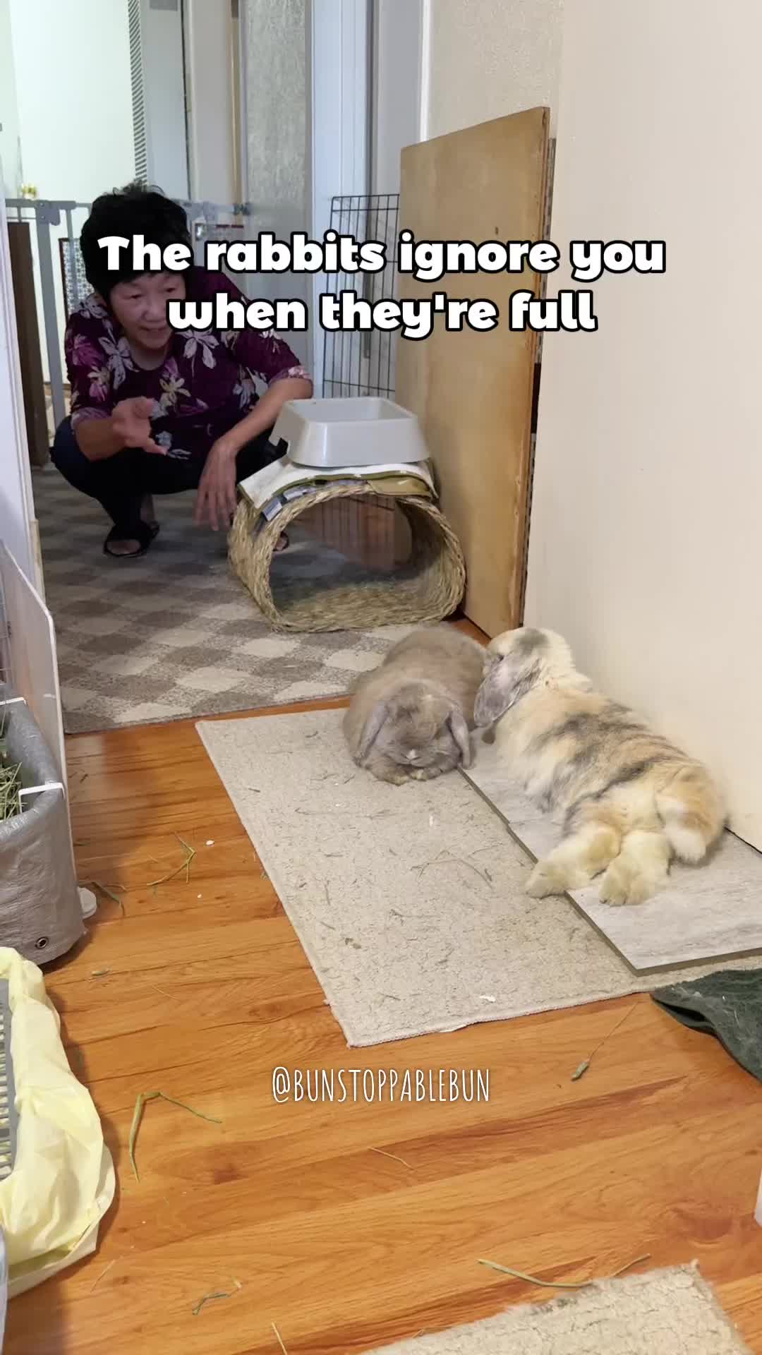 @BunBun, Mochi🌈, Chewy