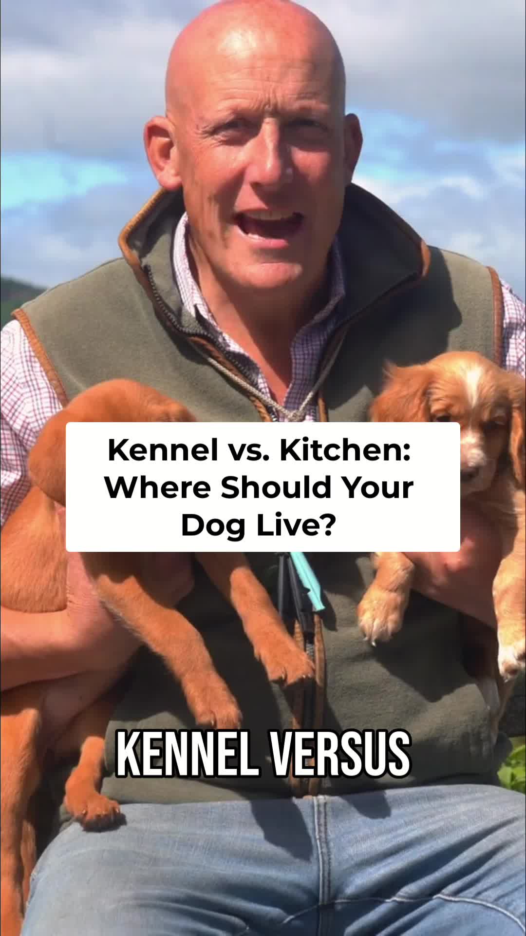 @Mordor Gundogs