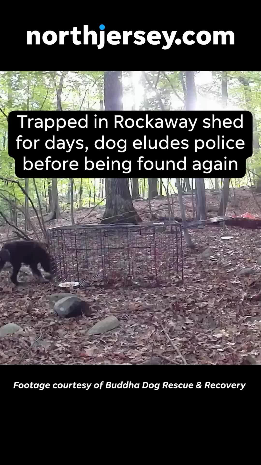 @northjersey