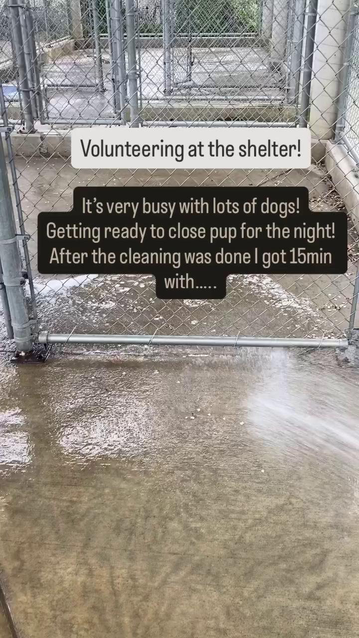 @BC SPCA