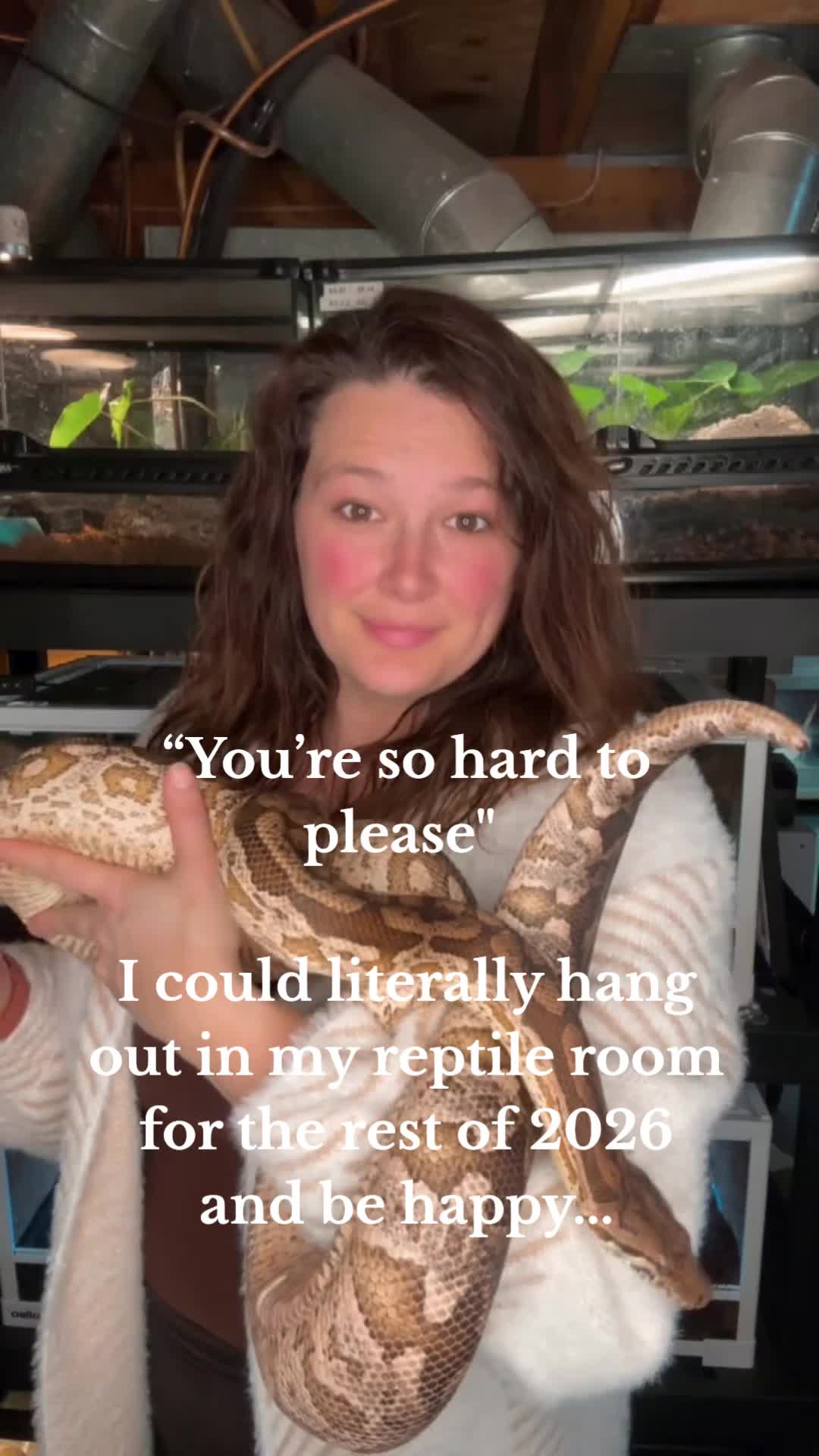 @ZA Reptiles