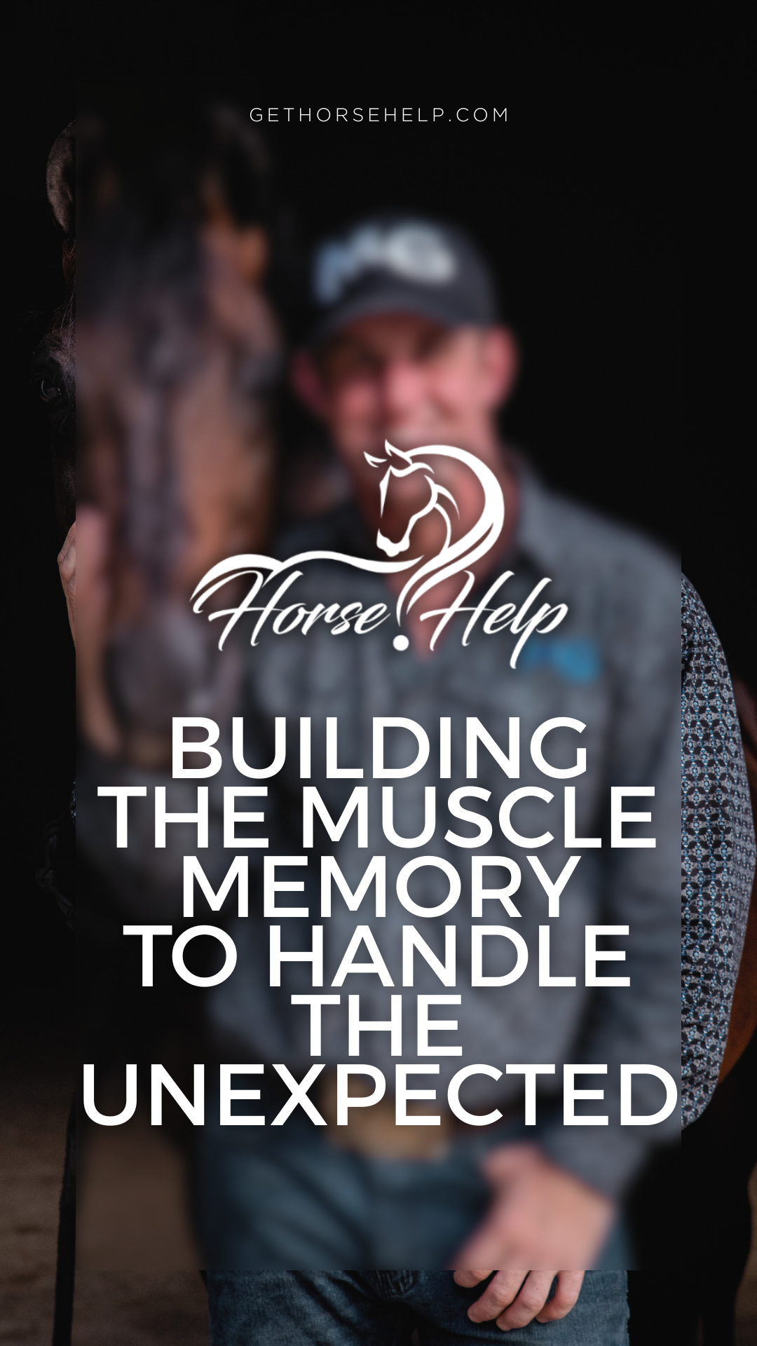 @Horse Help