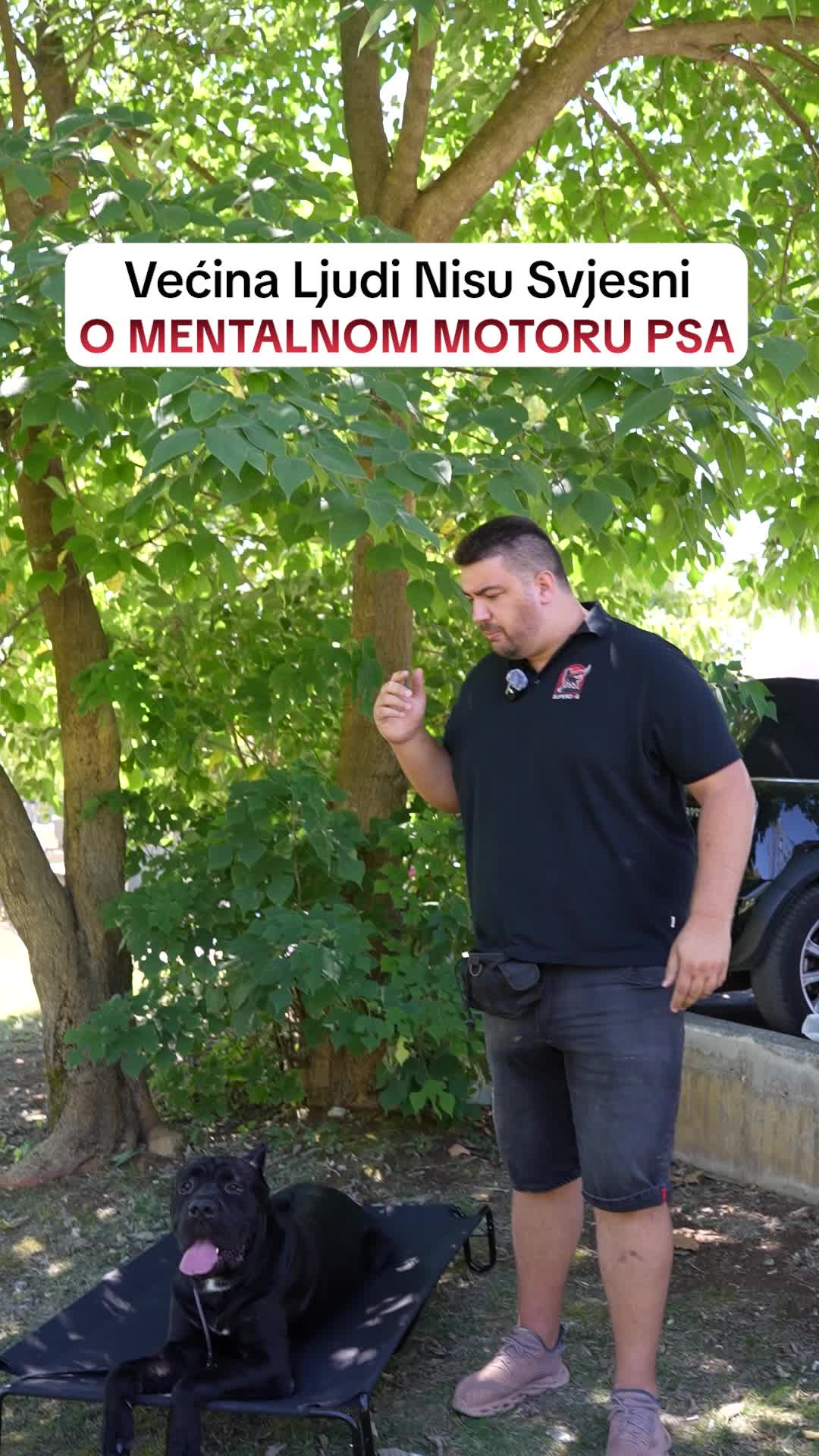 @superdog.akademija