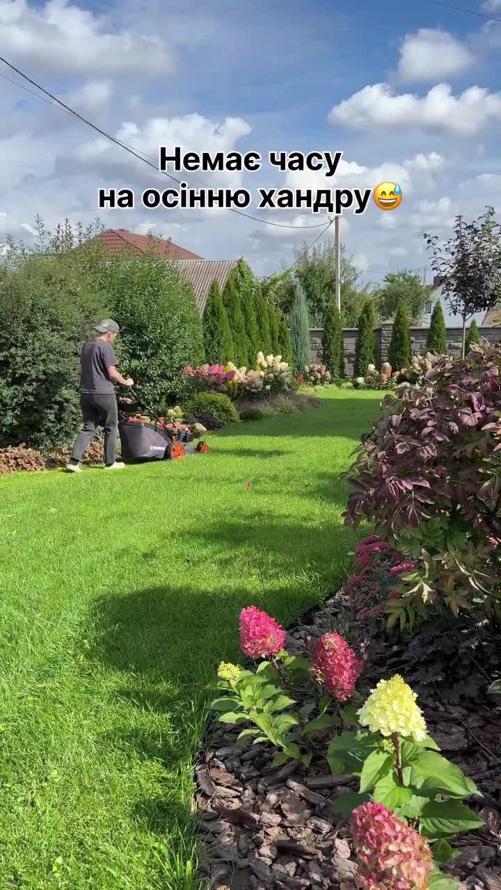 @FLORIUM – Мої Рослини