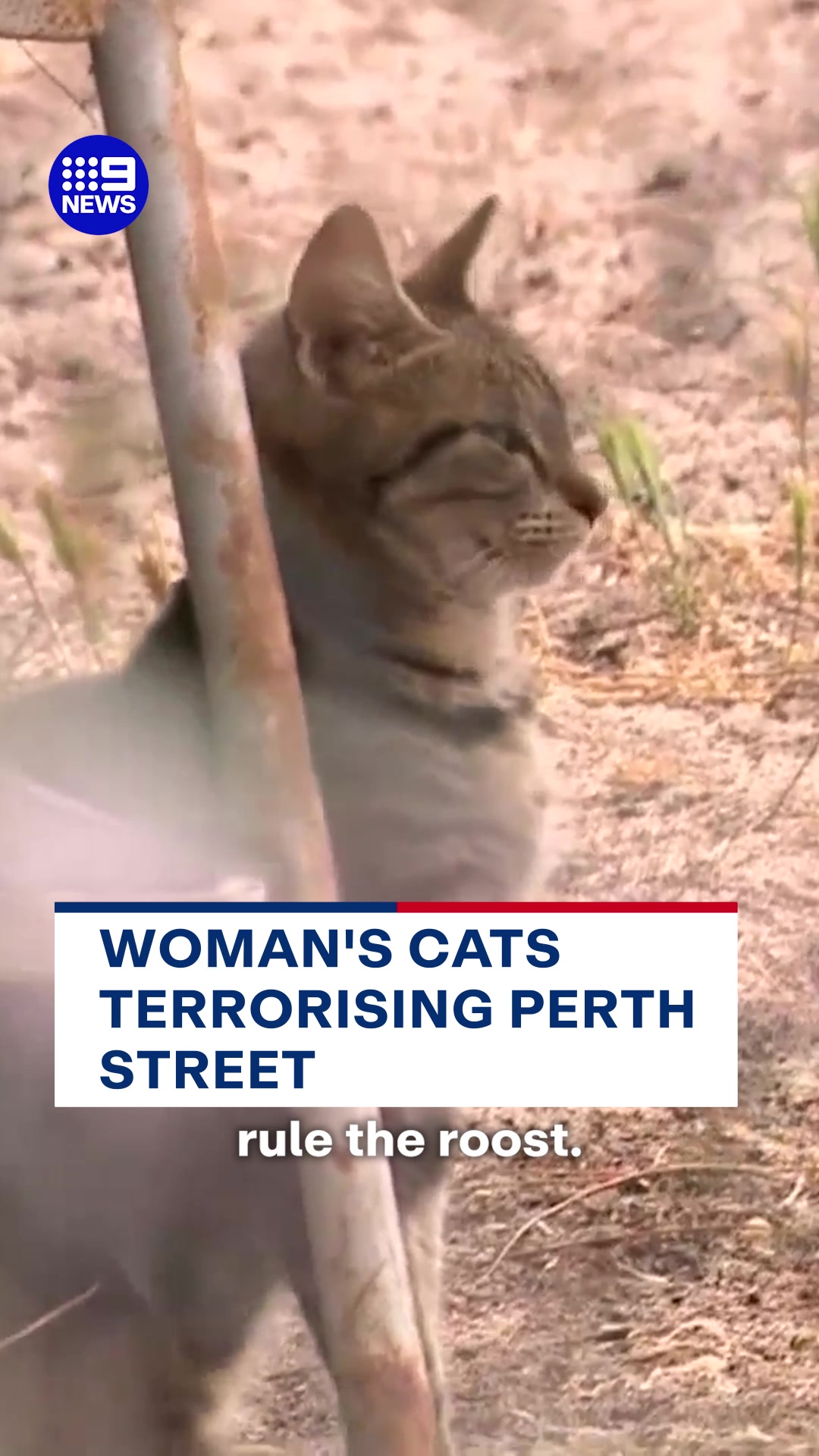 @9News Perth